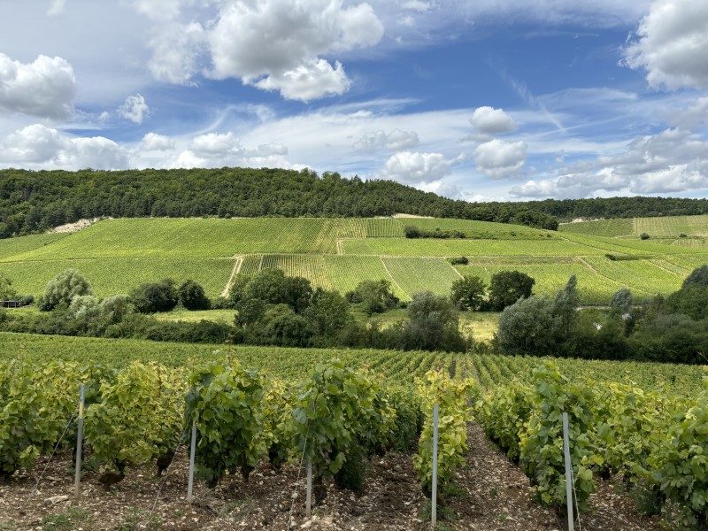 Tour de France 2024. Etape 9 : La Champagne et ses chemins blancs 1