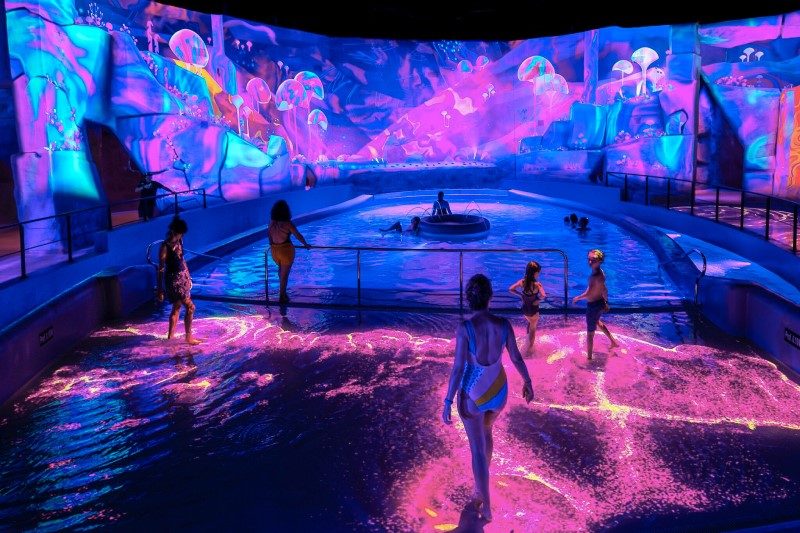 On a testé l'Aquascope, le nouveau parc aquatique du Futuroscope 4