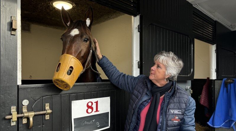 On n’en sait jamais assez trop sur le trot